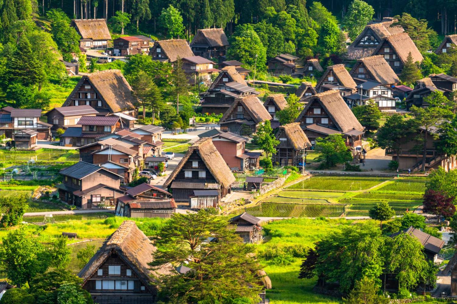 【帶你走入清酒文化】  日本清酒「藏人體驗」、北八岳空中纜車、小緒葡萄酒園、懷石料理、溫泉6天深度遊