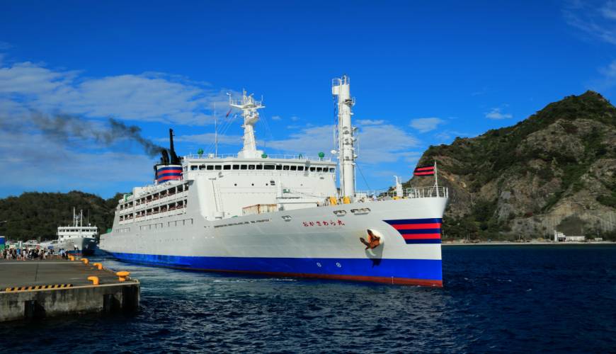 [Tokyo Ogasawara Island] Asia Galapagos Diving Heaven Ogasawara 7 Days 6 Nights Diving Tour