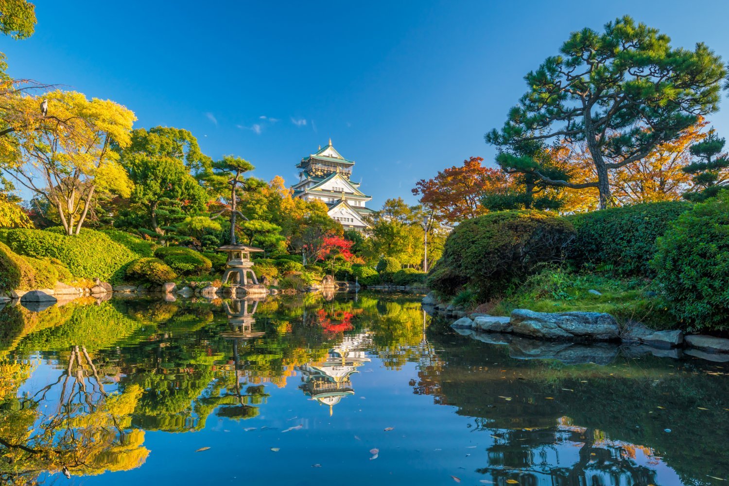 【Osaka】Japan 5ppl RV Caravan 24 hours Rental Experience(JOSS)