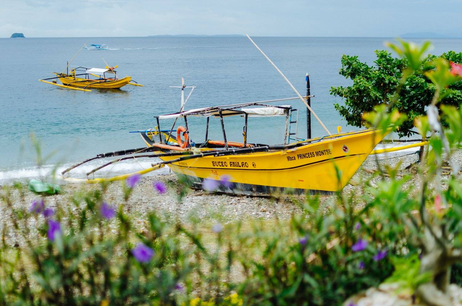 【Anilao】阿尼洛Buceo Anliao Beach & Dive5日4夜潛水套票