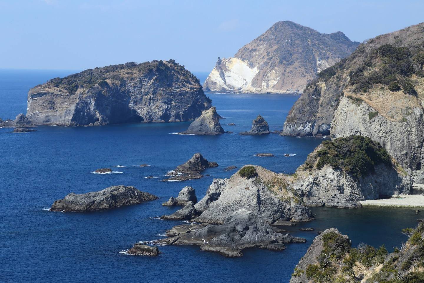 【Mikomoto Island】Diving with Hammerhead Sharks 5 Days 4 Nights Diving Tourwith diving instructor Berry (23rd to 28th May 2025)