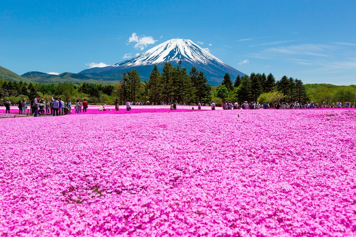 【Private Charter】Tokyo 10-Hour Customized City Tour to Mount Fuji/Kamakura/Karuizawa/Nikko with Chinese-speaking Driver (7/10 Passenger Vehicle)