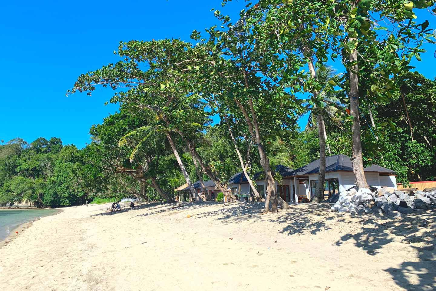 【Lembeh】Eco Divers Lembeh Indonesia diving package