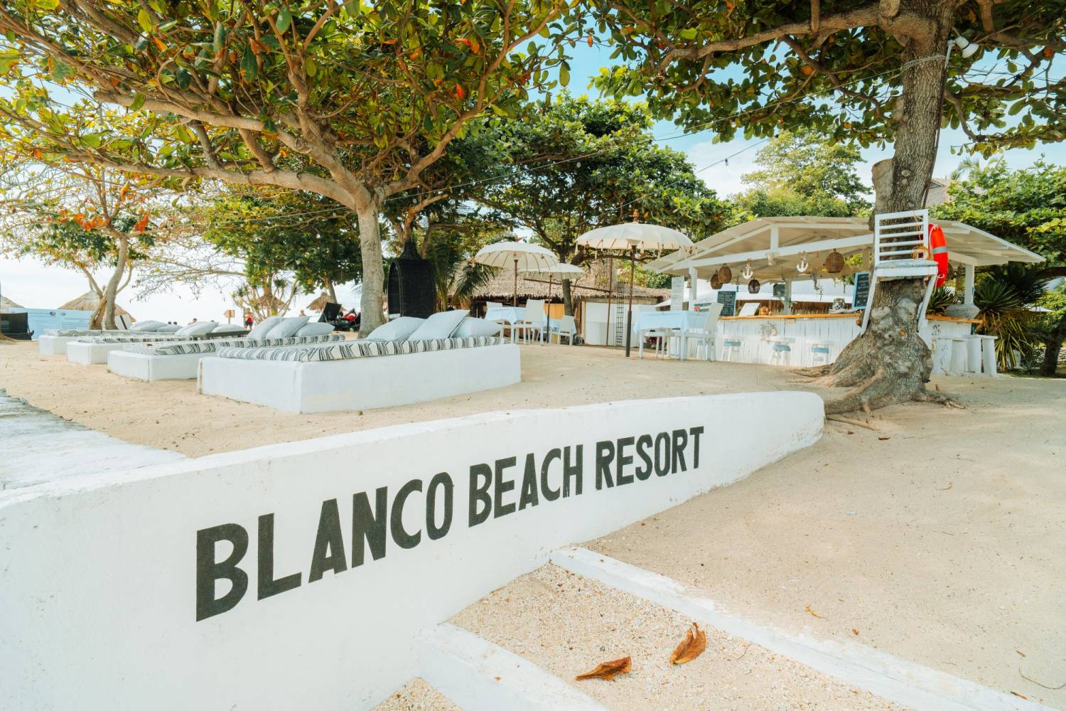 【Malapascua】Blanco Beach Resort Philippines Diving package