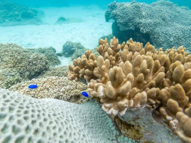 【Indonesia】 Bali OK Divers Resort 5 days 4 nights diving package