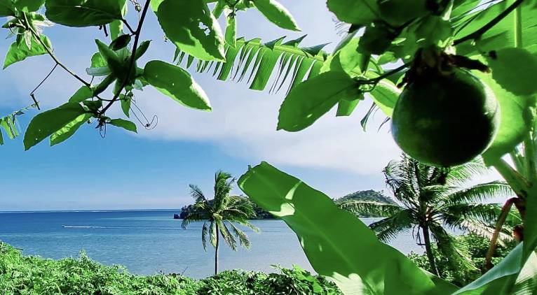 【Fuji】Matava Resort Diving package