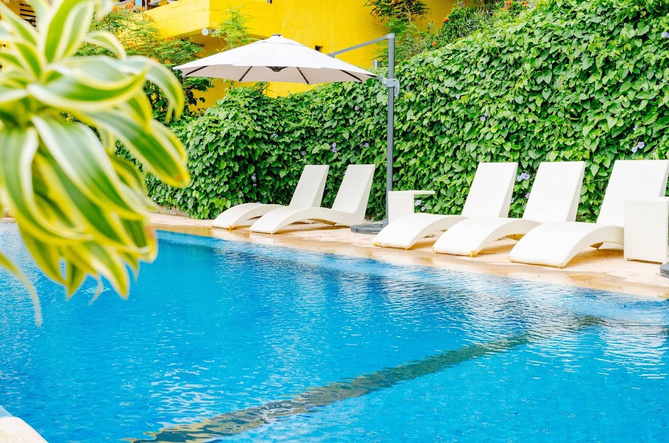 【Anilao】Buceo Anilao Beach & Dive Resort 5 days 4 nights Philippines Diving package