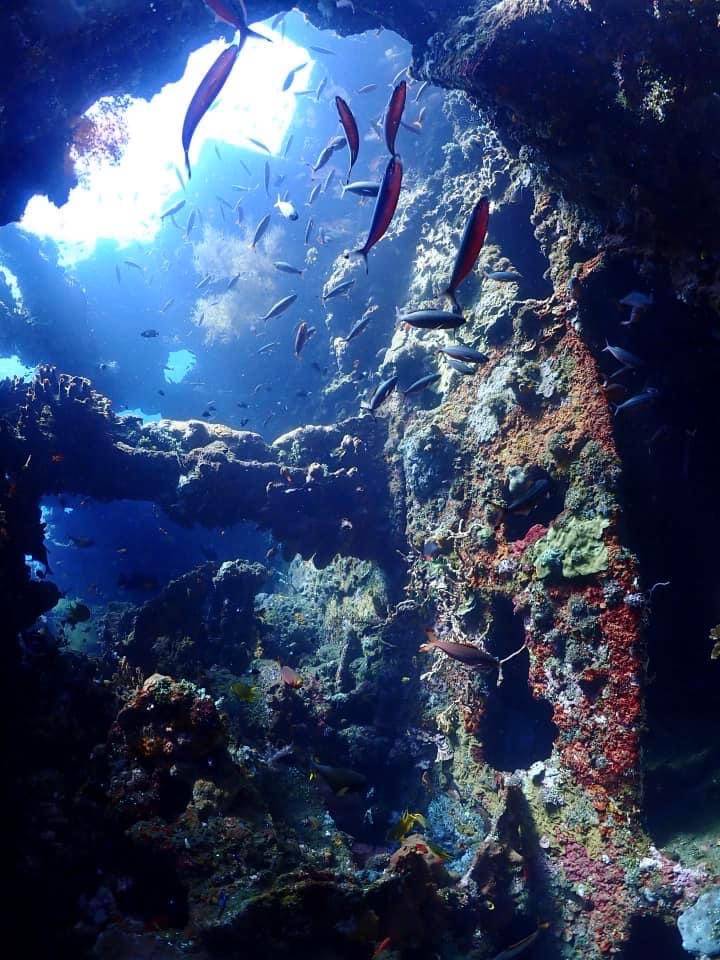 【Bali】Liberty Divers Resort 4 days 3 nights Indonesia Diving package