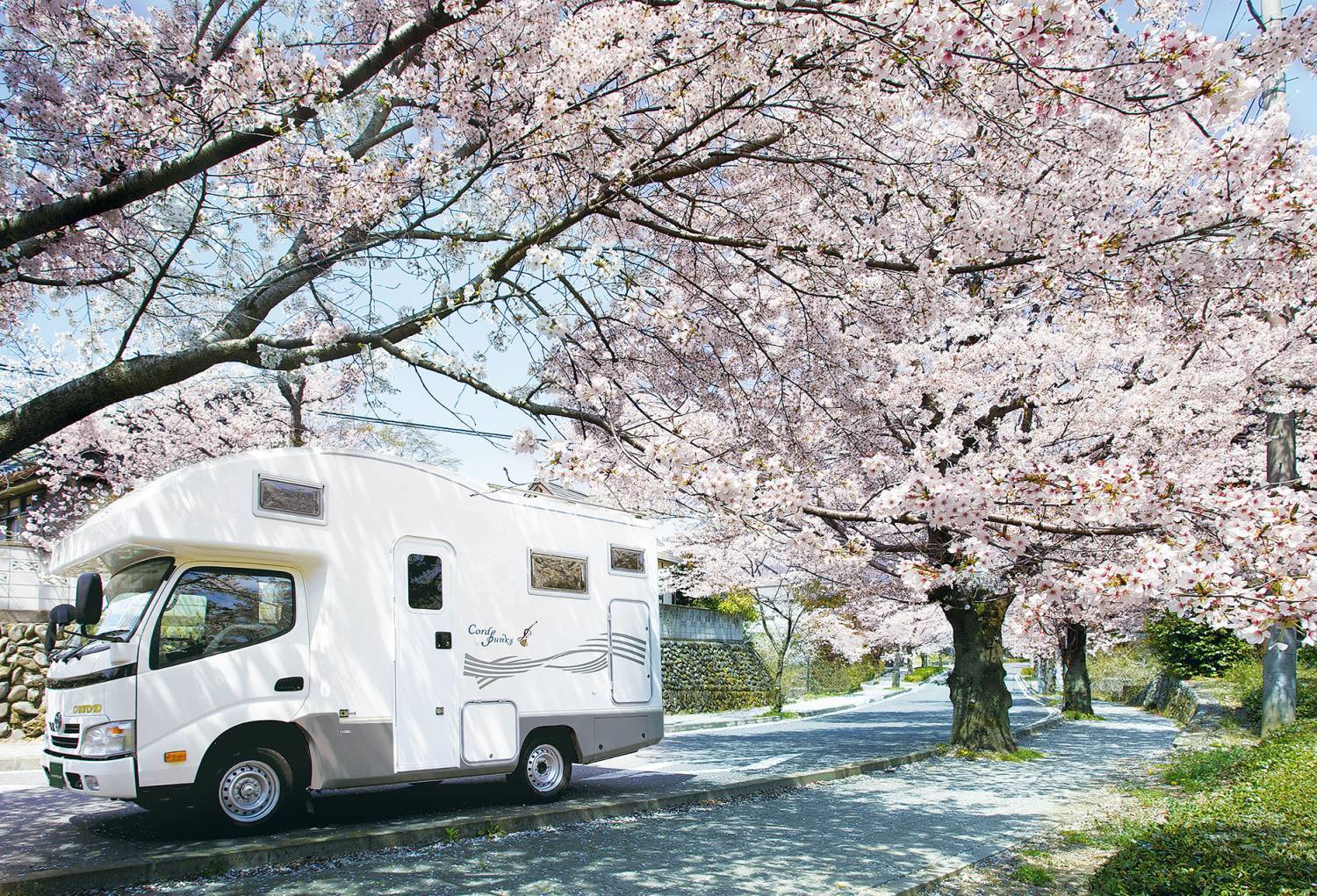 【Tokyo Narita】5-Person Japanese Campervan 24-Hour Rental Experience (V-Corde Bunks S)