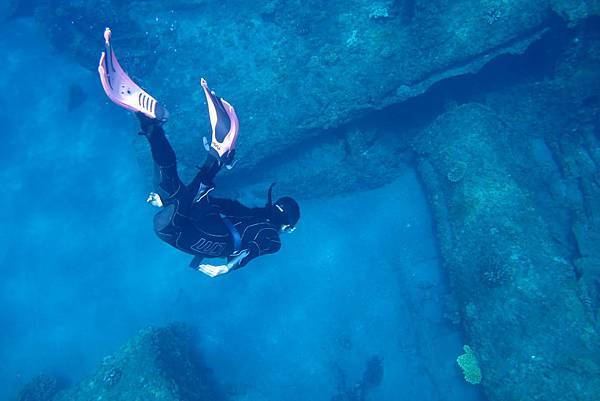[Tokyo Ogasawara Island] Asia Galapagos Diving Heaven Ogasawara 7 Days 6 Nights Diving Tour