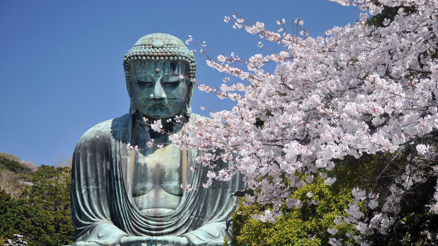 【Private Charter】Tokyo 10-Hour Customized City Tour to Mount Fuji/Kamakura/Karuizawa/Nikko with Chinese-speaking Driver (7/10 Passenger Vehicle)