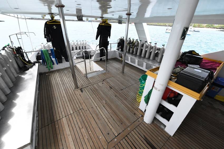 【Ecuador】Explorer Ventures-Humboldt Explorer Diving Package