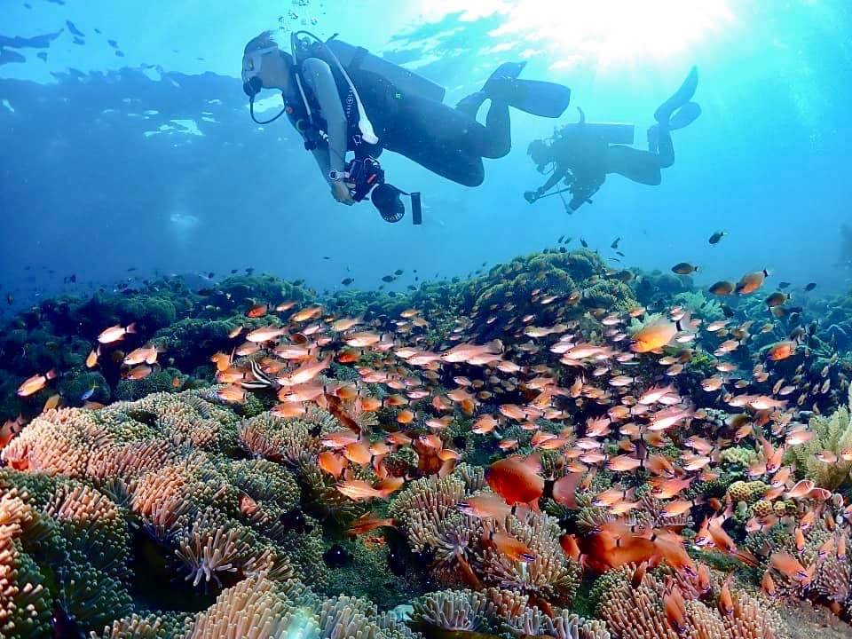【Bali】Liberty Divers Resort 4 days 3 nights Indonesia Diving package