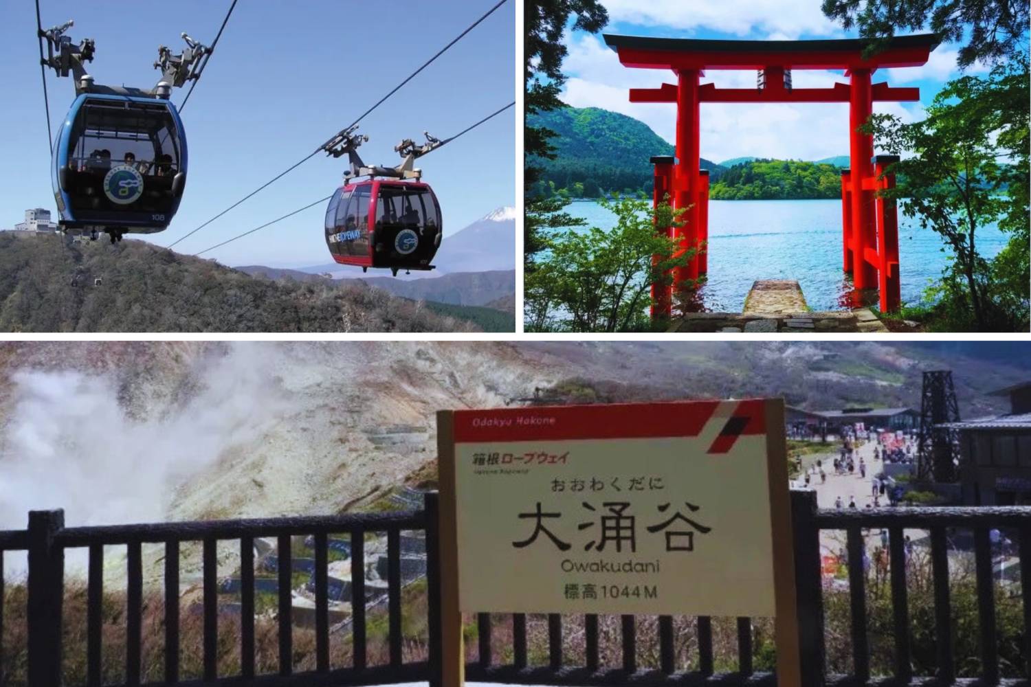 【春日賞櫻】東京郊區三浦賞櫻、士多啤梨任食、吞拿魚市場包車一日遊