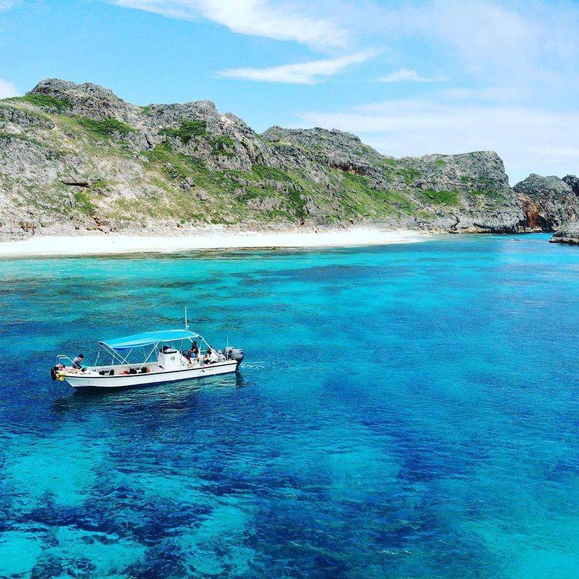 [Tokyo Ogasawara Island] Asia Galapagos Diving Heaven Ogasawara 7 Days 6 Nights Diving Tour