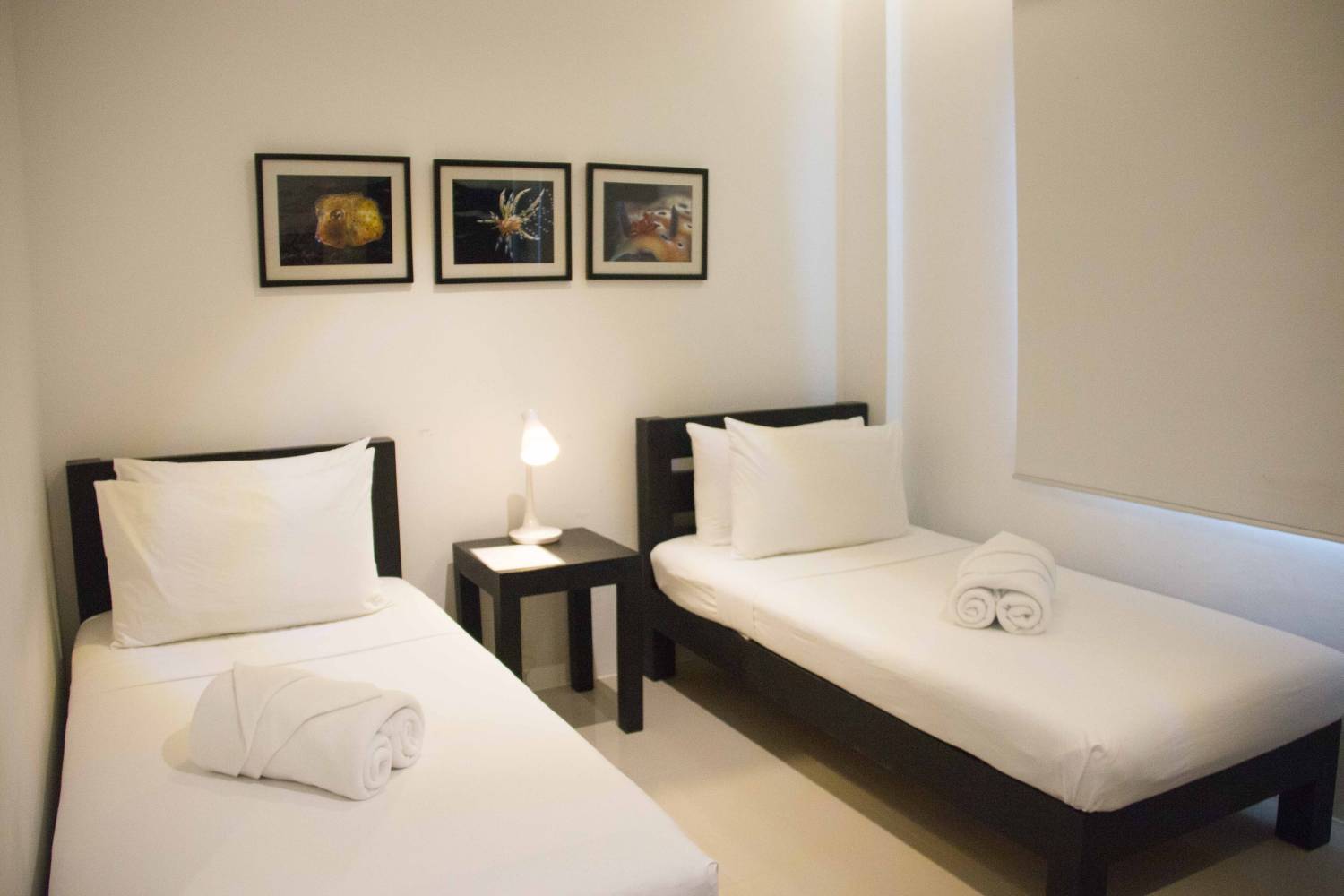 【Anilao】Casa Escondida Anilao Resort Beach & Dive Centre Philippines 5 days 4 nights Diving package