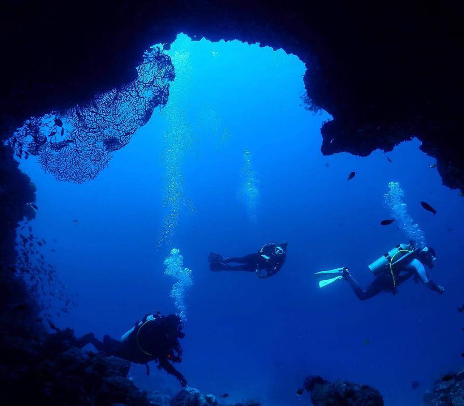 【Anilao】Casa Escondida Anilao Resort Beach & Dive Centre Philippines 5 days 4 nights Diving package