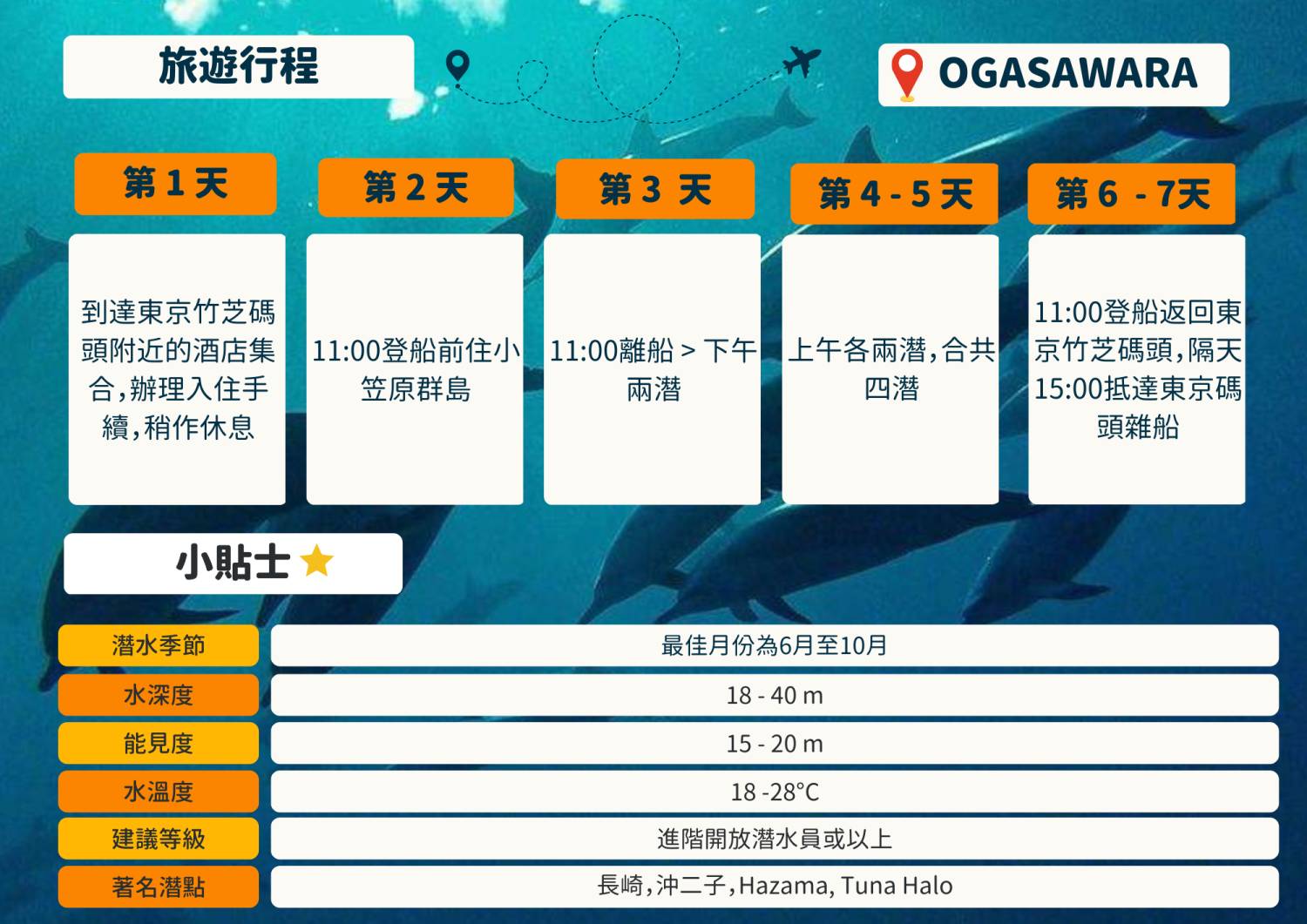 [Tokyo Ogasawara Island] Asia Galapagos Diving Heaven Ogasawara 7 Days 6 Nights Diving Tour