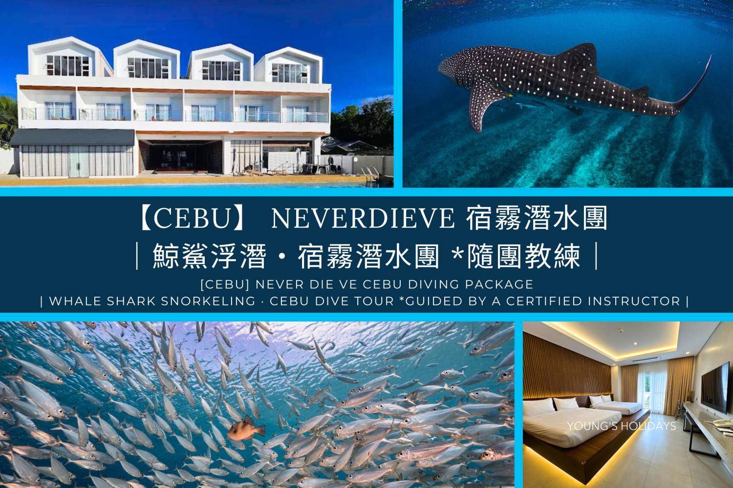 【Cebu】 Neverdieve 宿霧潛水團 *隨團教練｜｜鯨鯊浮潛・宿霧潛水團