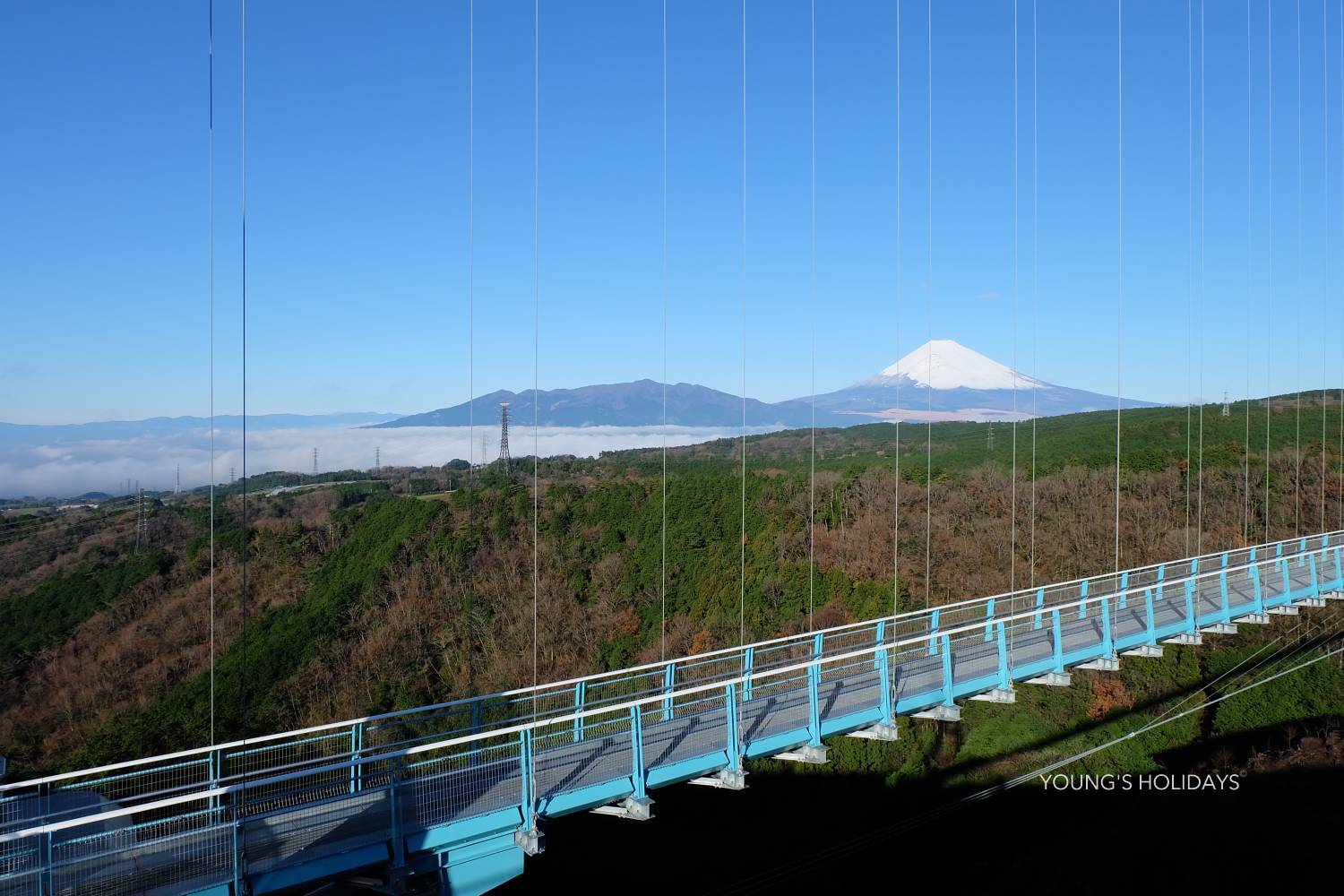 【伊豆】雲見 / 神子元島 與鎚頭鯊共游4日3夜日本潛水自由行套票