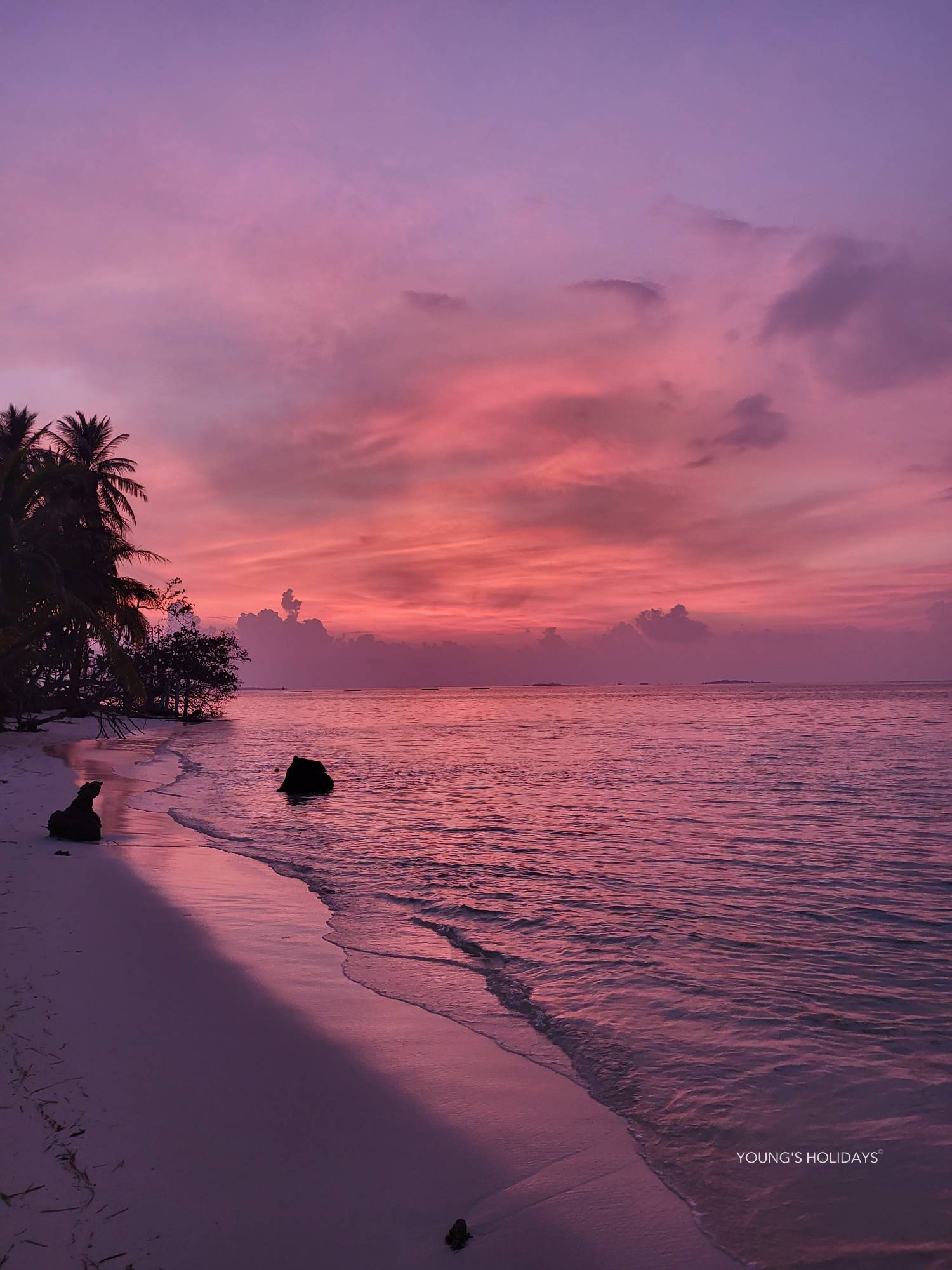 【Maldives】馬爾代夫 Cozy Art Dhangethi 虎鯊島潛水套票