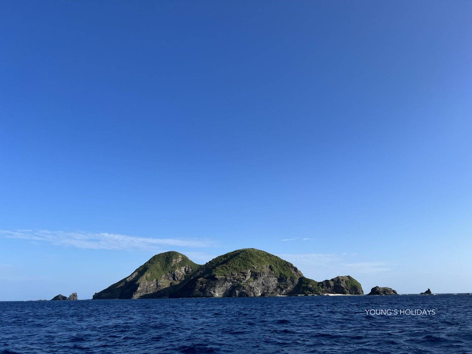 【沖繩潛水】2027年沖繩Okinawa與鯨魚共游Whale Swim旅行團(隨團教練-Berry)