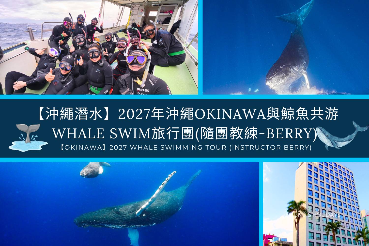 【沖繩潛水】2027年沖繩Okinawa與鯨魚共游Whale Swim旅行團(隨團教練-Berry)