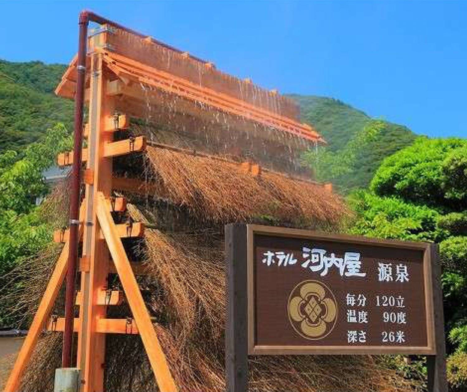【神子元島】2025年8月23至27日 與鎚頭鯊共游潛水5日4夜旅遊潛水團 *隨團教練Berry*