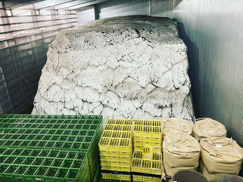 【酒遍北陸東日本之旅】世界遺產「白川鄉」、豪華觀光列車細味新潟水鏡絕景7日深度遊