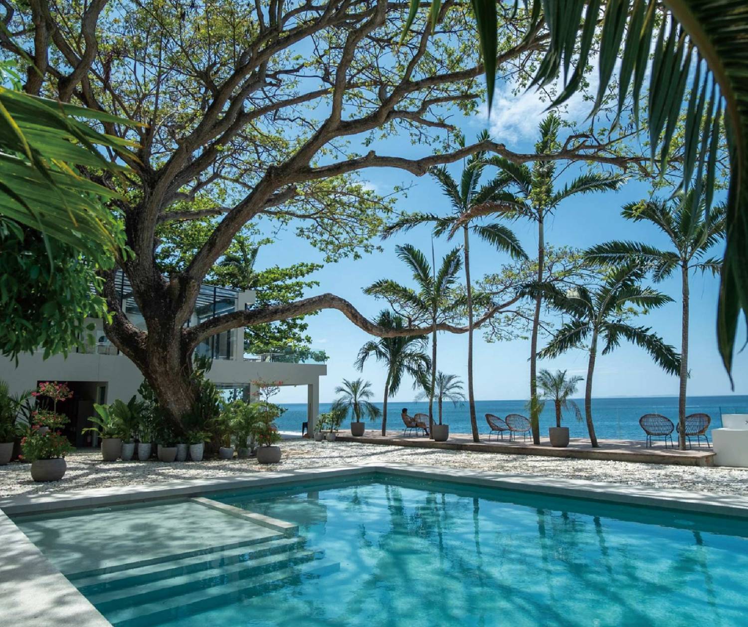 【Anilao】阿尼洛Solitude Acacia Resort 菲律賓潛水自由行套票