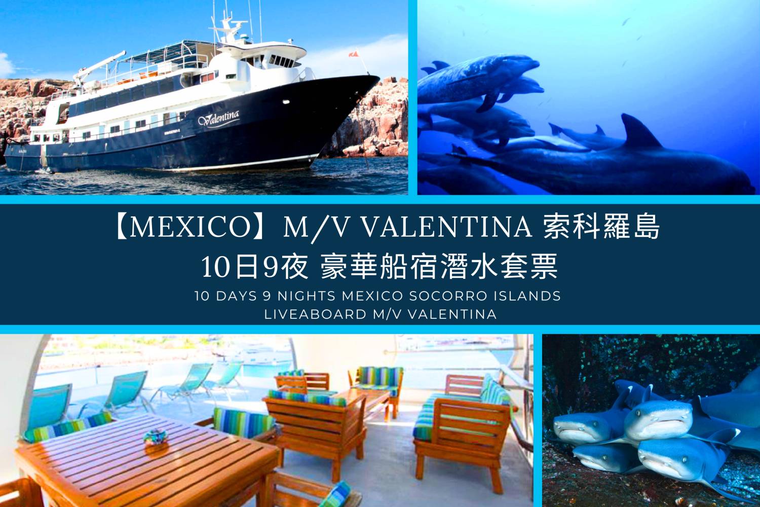 【Mexico】M/V Valentina 索科羅島 10日9夜 豪華船宿潛水套票