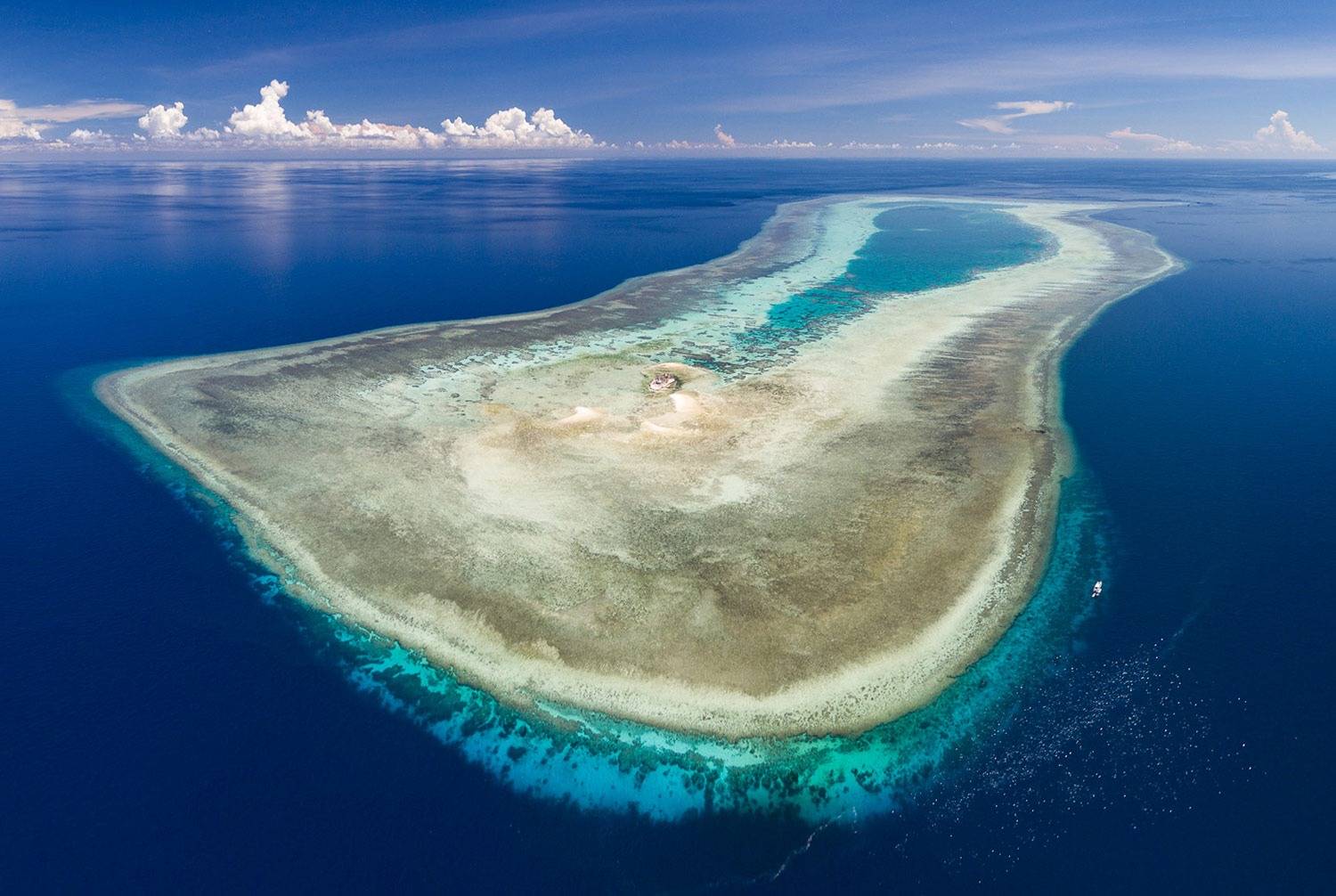 【Tubbataha】Atlantis Dive Resort & Liveaboard - Atlantis Adventurer 豪華圖巴塔哈船潛套票