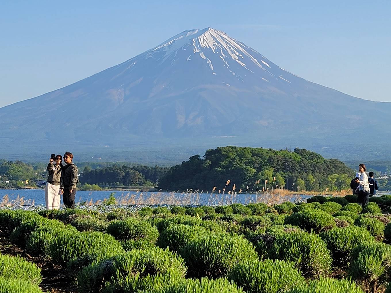 【東京出發】富士山五合目、忍野八海、河口湖石公園、任摘任食時令水果一天遊