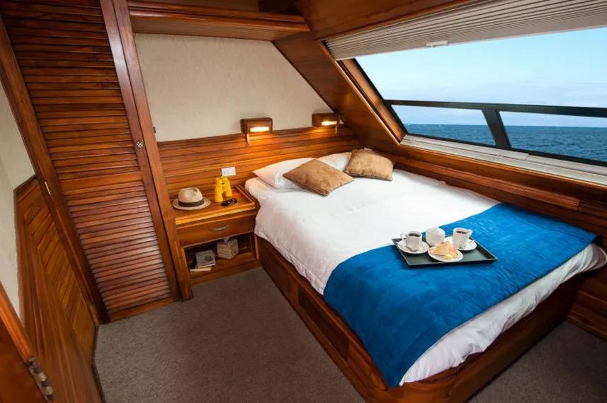【Ecuador】Liveaboard- Letty Yacht 豪華厄瓜多爾船潛套票