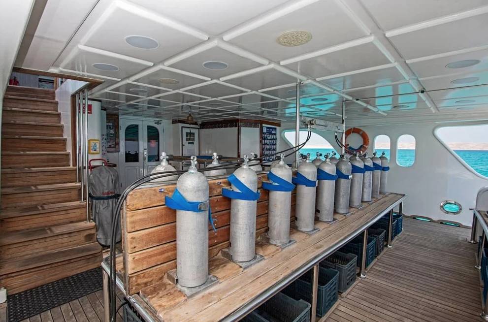 【Egypt】Master Liveaboard-Blue Melody 埃及船潛套票