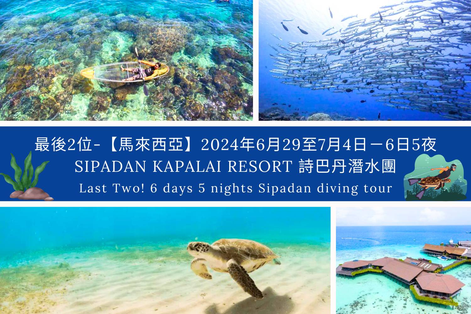 最後1位 限男性-【馬來西亞】2024年6月29至7月4日－6日5夜 Sipadan Kapalai Resort 詩巴丹潛水團