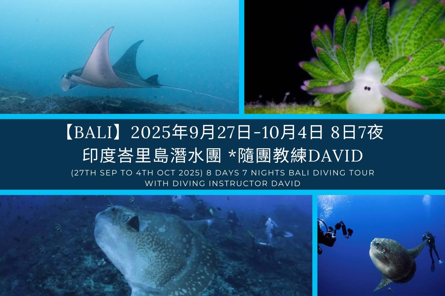 【Bali】2025年9月27至10月4日 8日7夜印度峇里島潛水團*隨團教練David