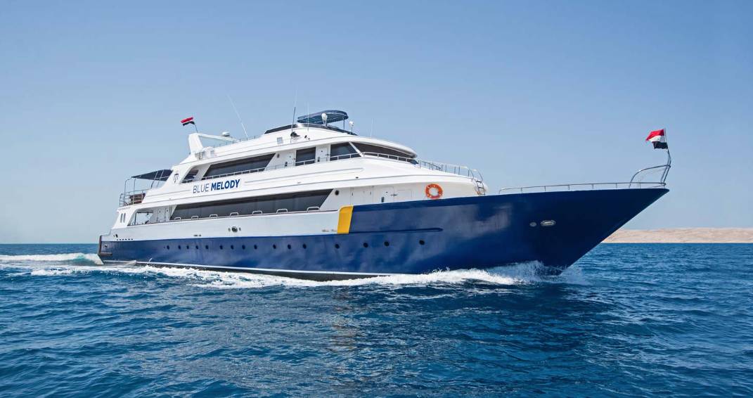 【Egypt】Master Liveaboard-Blue Melody 埃及船潛套票