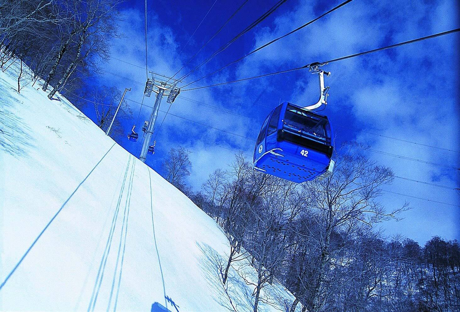 【苗場、田代、神樂滑雪旅行團】 日本七日六夜 初學者首選 滑雪之旅旅行團