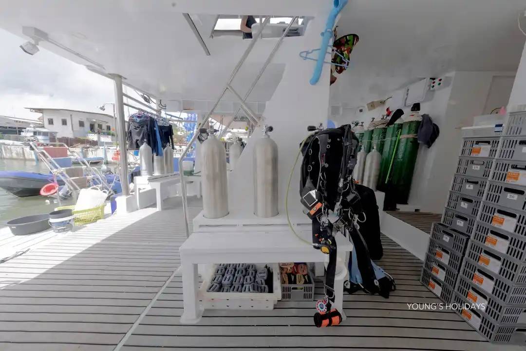 【Thailand】2026年12月29日-2027年1月4日 7日6夜豪華泰國船潛團*隨團教練