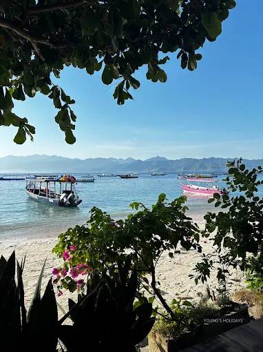 【Gili trawangan】吉利群島 Blue Marlin Dive 印尼五日四夜潛水自由行套票