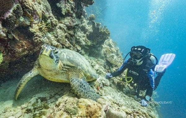 【Moalboal】2025年9月12日-16日 5日4夜 菲律賓墨寶沙甸魚風暴潛水團 *隨團教練Berry