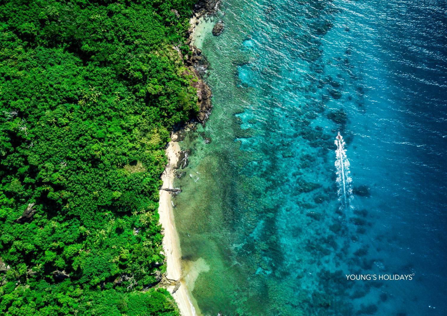 【Fiji】2026年9月25至10月4 10日7夜斐濟極限鯊魚潛水團*隨團教練