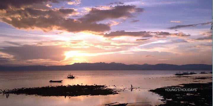 【Moalboal】2025年9月12日-16日 5日4夜 菲律賓墨寶沙甸魚風暴潛水團 *隨團教練Berry