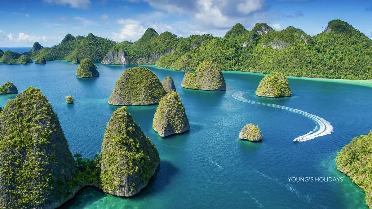 【Indonesia】2026年1月9至16日 9日6夜印度四皇島船潛水團*隨團教練Ben sir