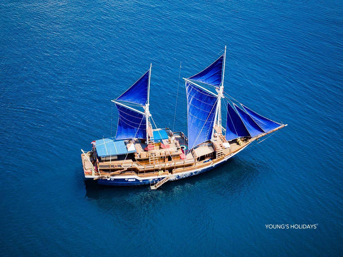 【Indonesia】2026年8月31至6日 7日6夜 印尼科莫多 M/V CHENG HO船潛水團*隨團教練David sir