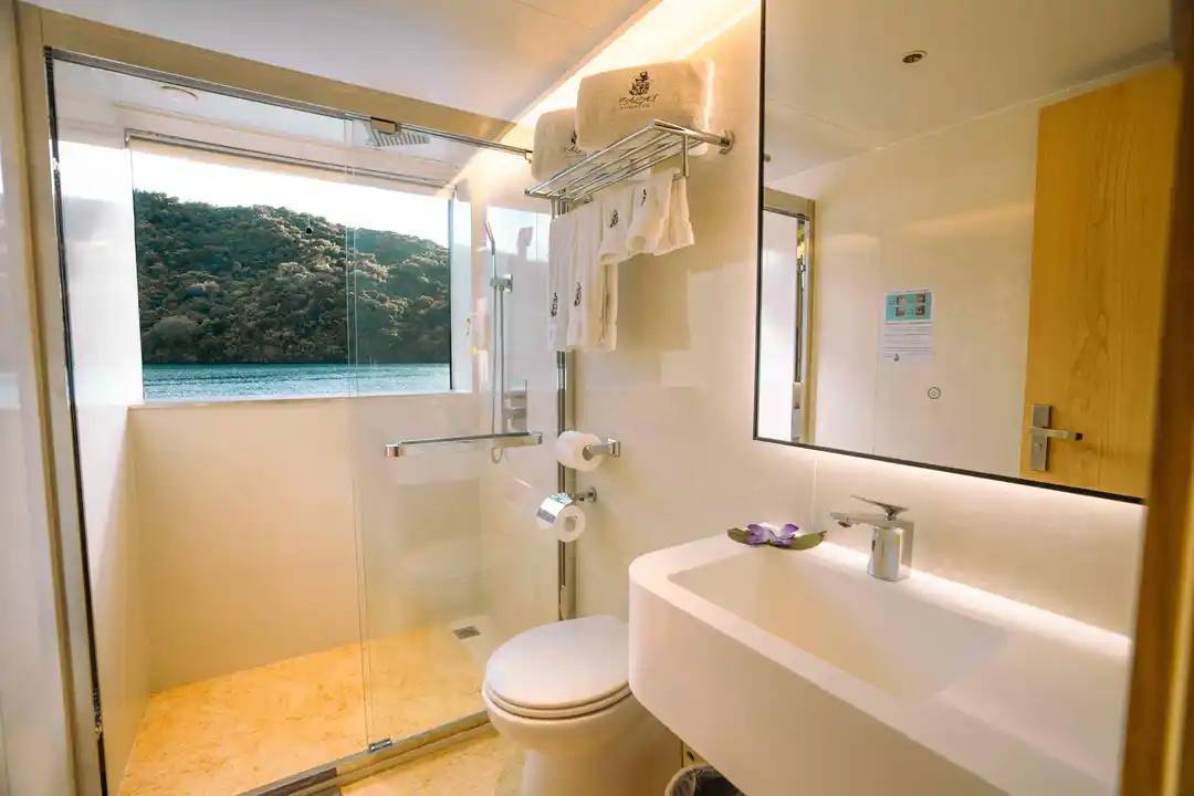 【Palau】M/Y Black Pearl 豪華帛琉船潛套票