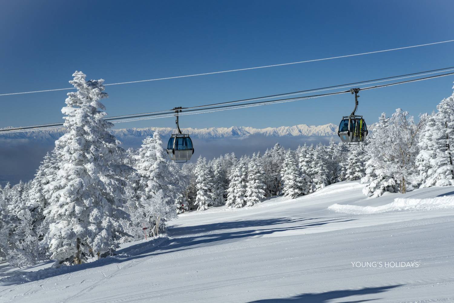 【Nagano】Shiga Kogen Prince Hotel Japan Ski Lift Ticket