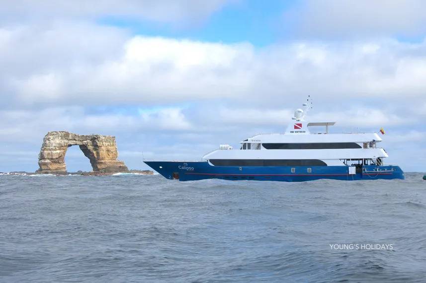 【Ecuador】Liveaboard- Calipso Diving Package