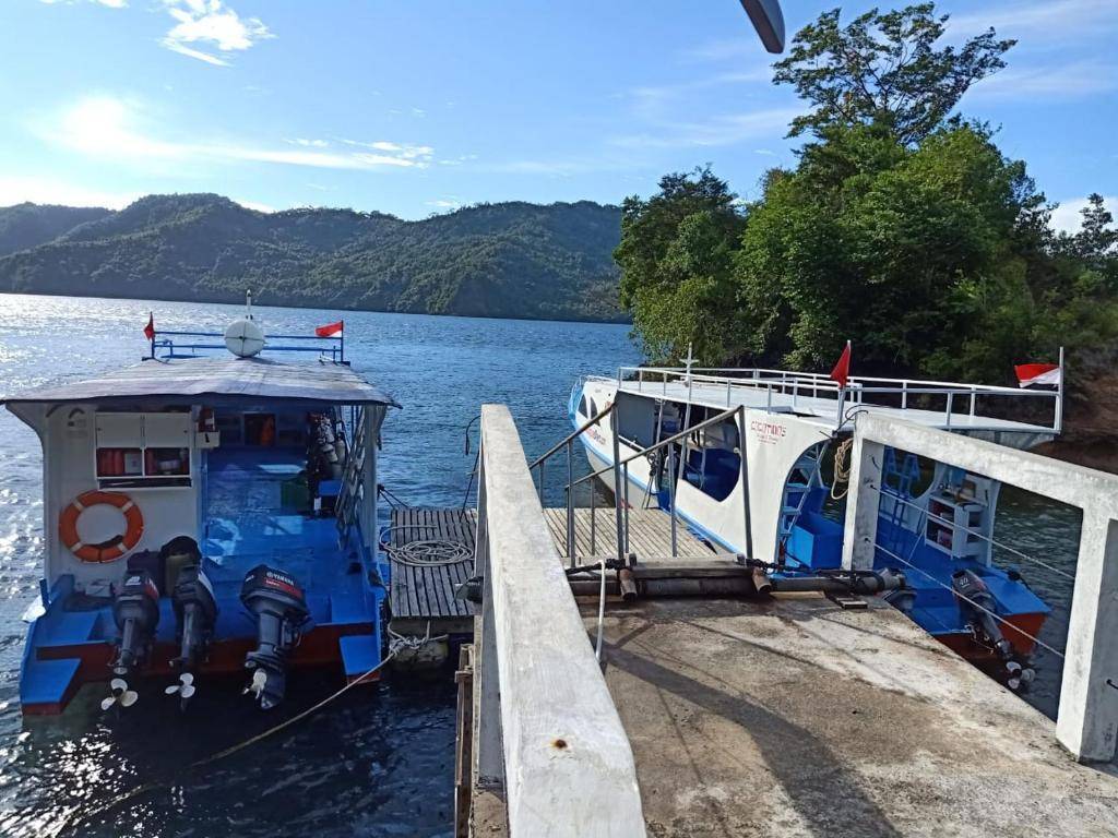 【Lembeh】藍碧島Cocotinos Lembeh Resorts印尼潛水自由行套票